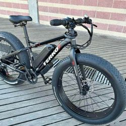 Ridstar    Ebike    Electric    Adultbike 