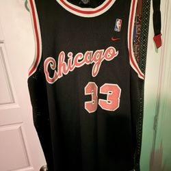 Scottie Pippen Nike Jersey 