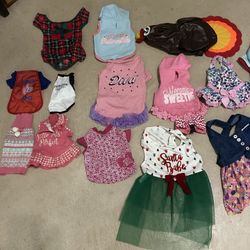 Dog costumes and sweaters and T-shirts