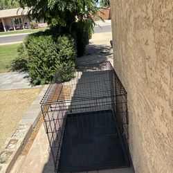Large  dog kennel