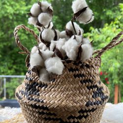 Basket And Cotton Flowers