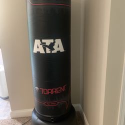Torrent T2 PRO 