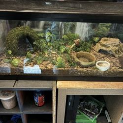 20 gallon long reptile tank Everything included 
