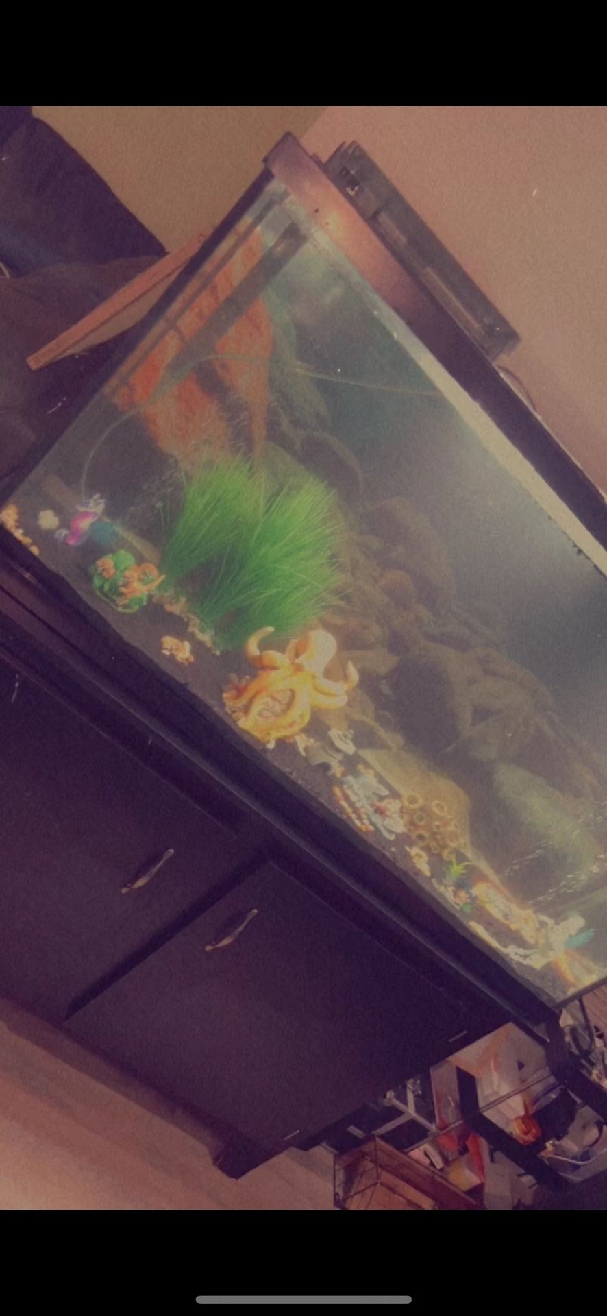65 Gallon Tank With Stand