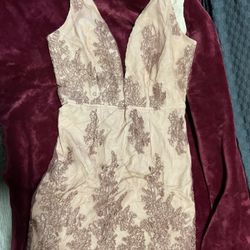 Tobi Blush Dress 