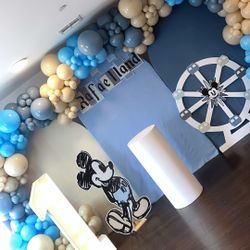 Disneyland Theme Birthday