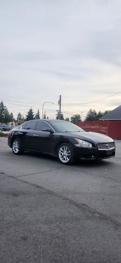 2011 Nissan Maxima