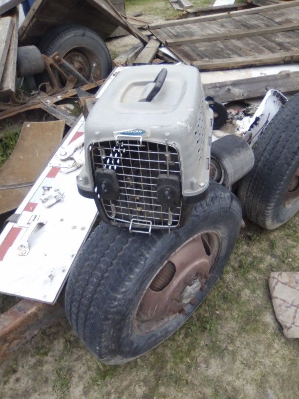 Pet Mate Carrying Case