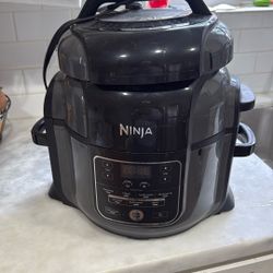Ninja Air Fryer Cooker