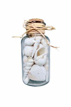 Coastal Style Glass Bottle Of Assorted White Natural Shells With Cork.