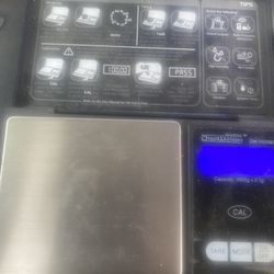 Mini Scale