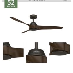 Ceiling Fan Wall 