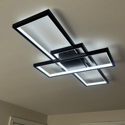 Led Ceiling Fixture 