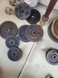 Gym#Gym Equipment#weights#dumbells