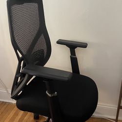Ergonomic Office Chair