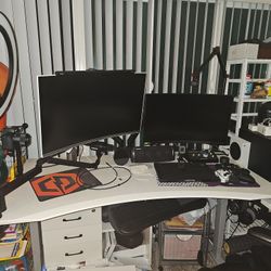 Dual Monitors with Dual Arm