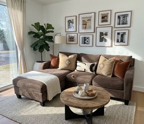 H.M RICHARDS 2- PIECE BROWN COUCH (FREE DELIVERY)(CLIFTON HEIGHTS PA 19018)