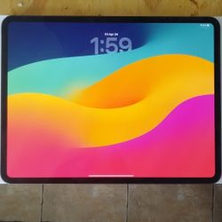 iPad Pro 13-Inch M4 256 GB