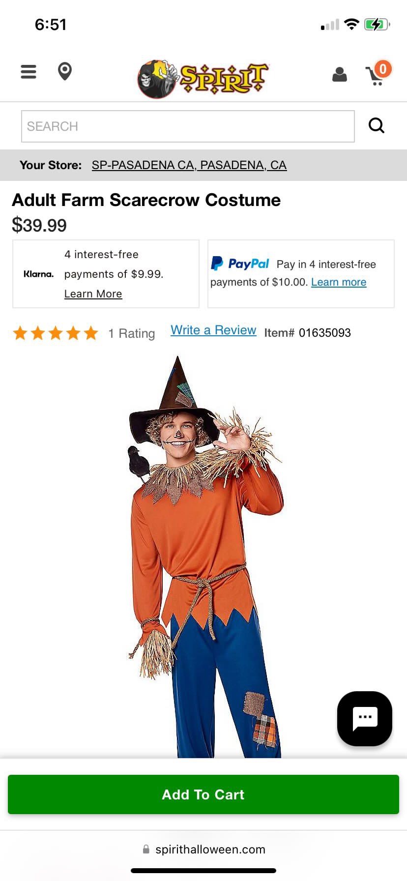 Scarecrow Costume