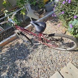 Raleigh Mojave 2.0 Woman's Mountain Bike