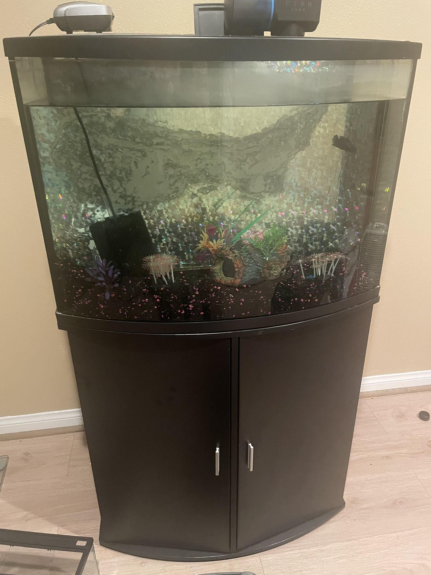 30 gallon fish Tank. Must Go! $200