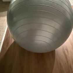Pregnancy Yoga Ball