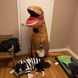 Hilarious T‑Rex Dinosaur Costume – but dog stays!