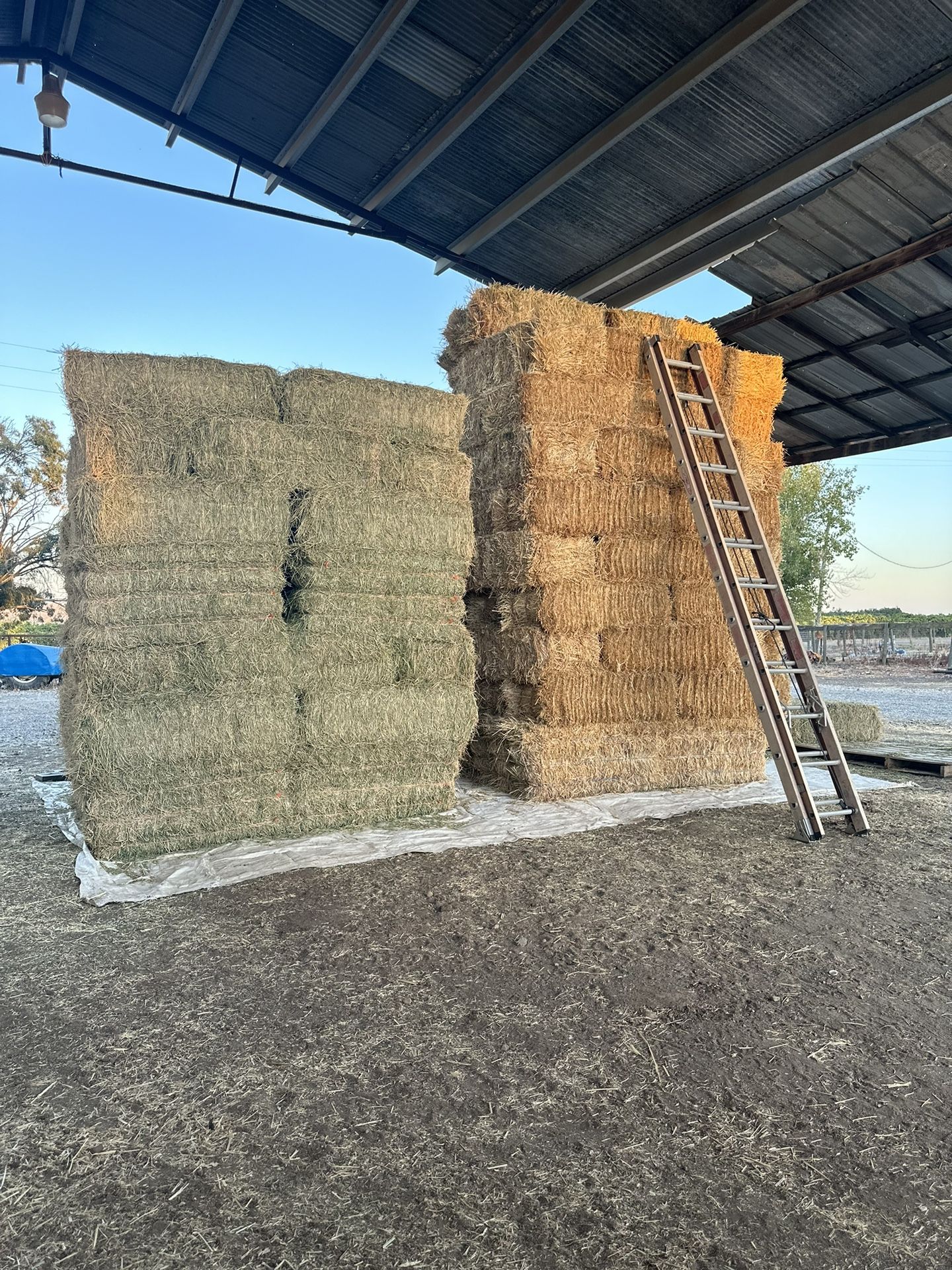 🌾 Alfalfa & Oat Hay for Sale 🌾