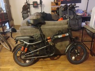 Electric bike for 2