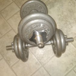 2 × 20lb Gold Gym  Dumbells  $50