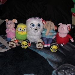 Beanie Babys Collection