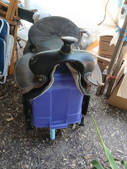 Saddle king