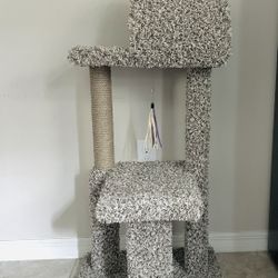 Cat  Condo 