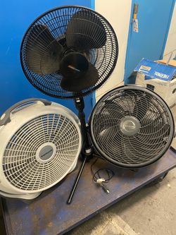 Fans