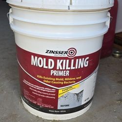 Primer / Mold Killer