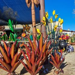 🌵Agaves🌺Metal Yard Art🪻Flowers🌺POTTERY 🐞Birdbaths🐦+More