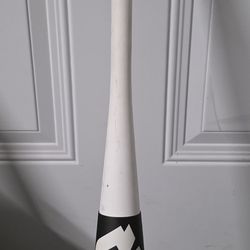 DeMarini Steel 12" Dual Stamp Slow Pitch Softball Bat: WTDXSTL22-34/26