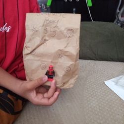 Mystery Surprise Bag