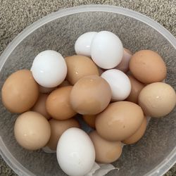 Eggs
