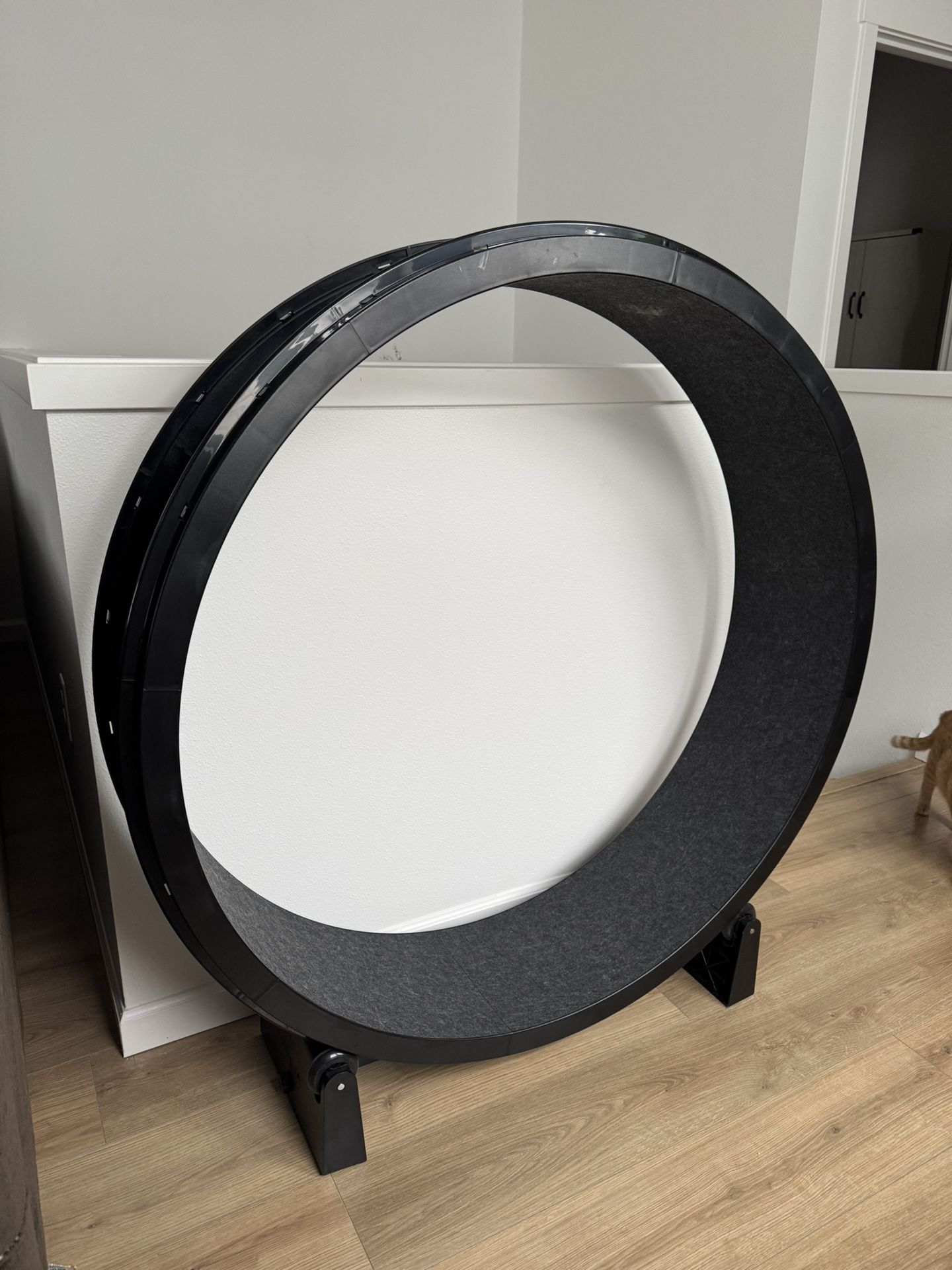 Cat Wheel