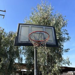 Lifetime Portable Basketball Hoop 