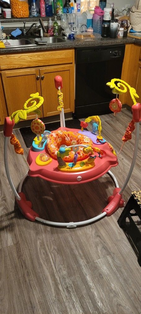 Fisher- Price "Pretty Petals" Jumperoo