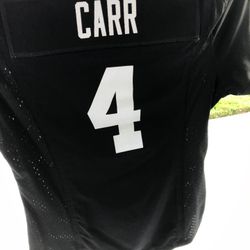 Women’s Carr Raider Jersey 