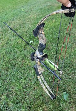 Pulsar hunting/practicing bow and arrows