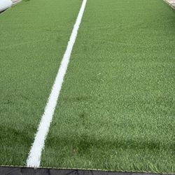 Artificial Grass