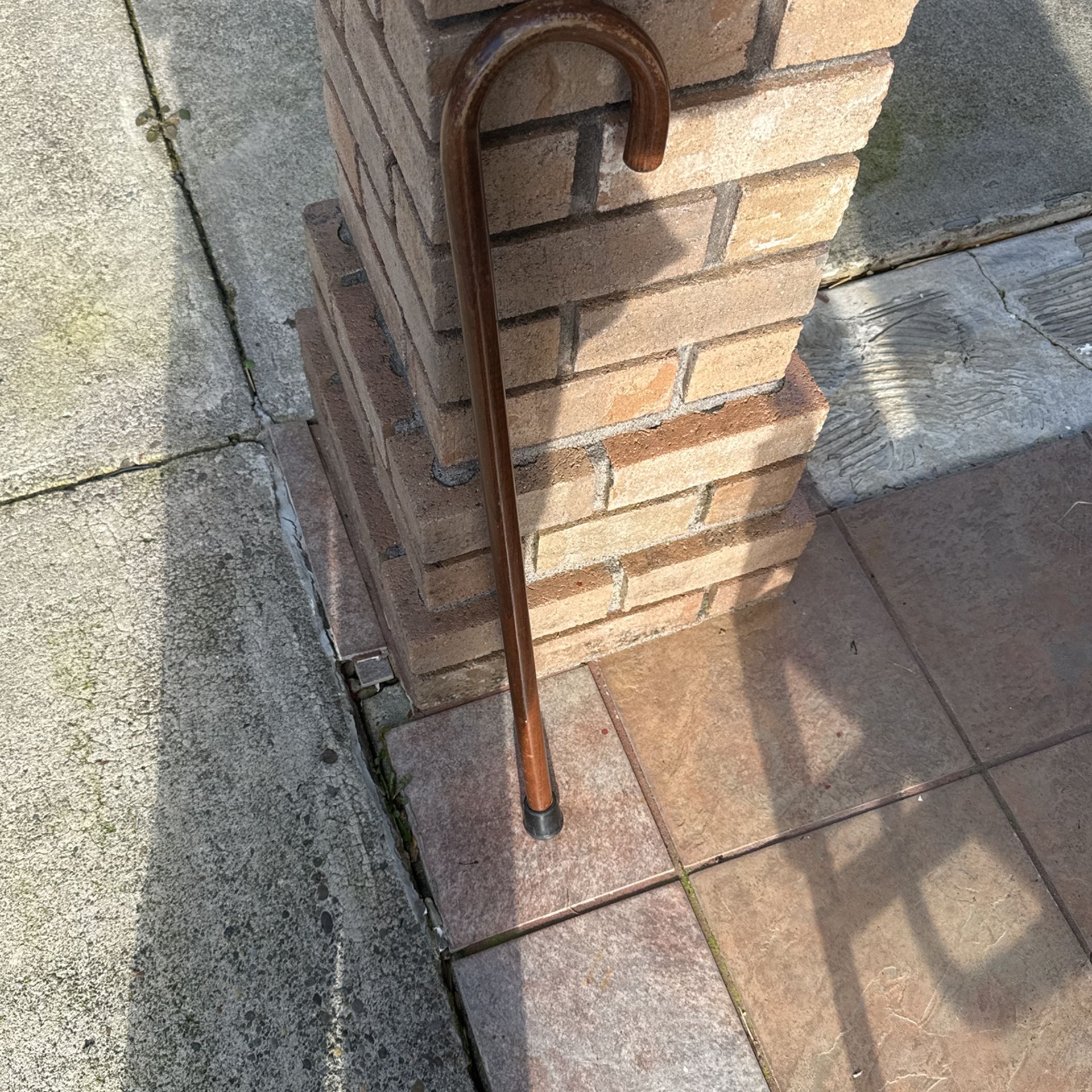 Cane Walker