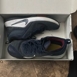 Blue LeBron James Shoes 