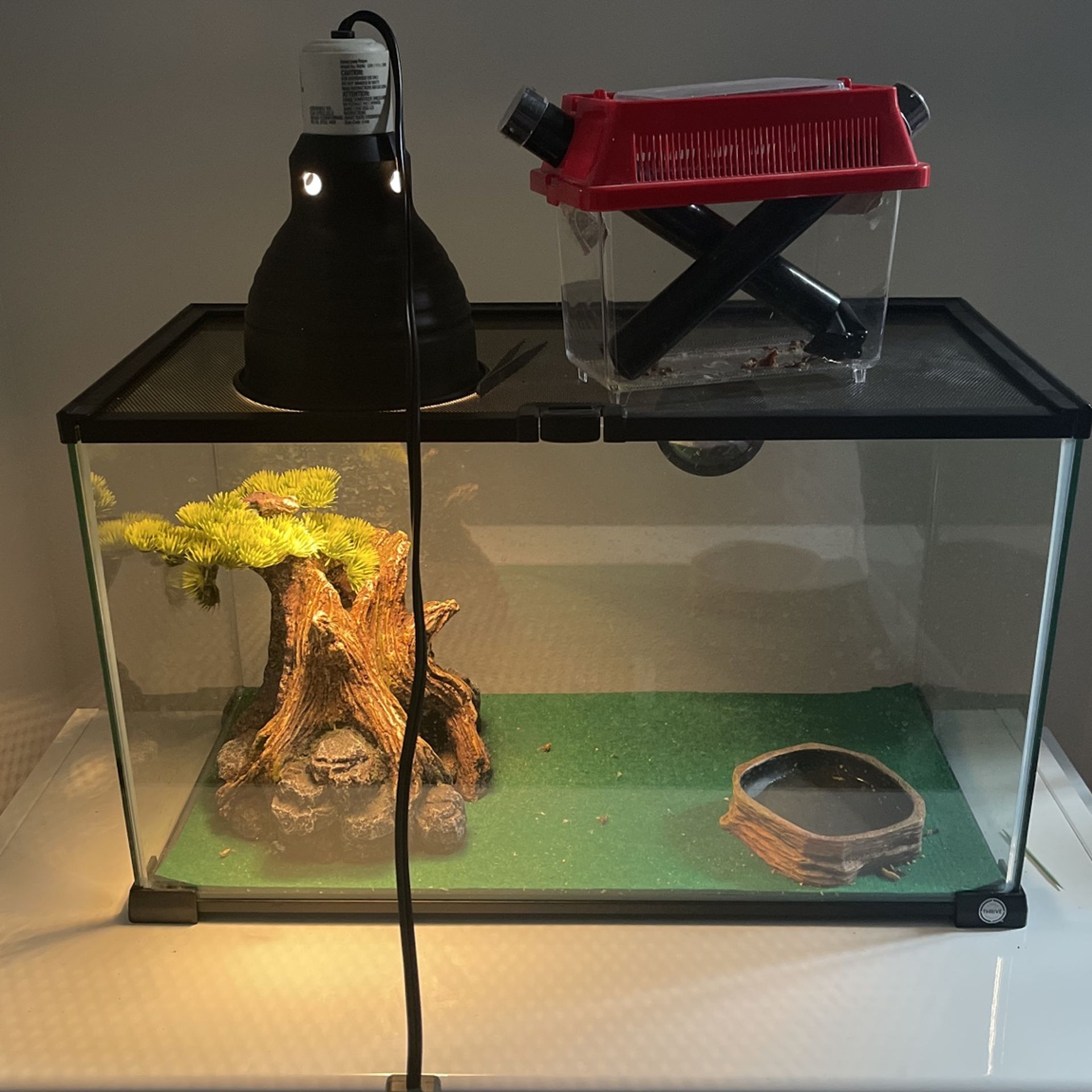 Thrive Reptile Terrarium Essentials Kit 10 Gallon for Sale in