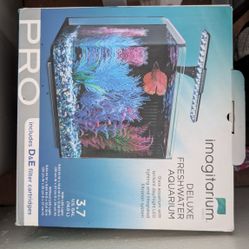 New Fish Tank