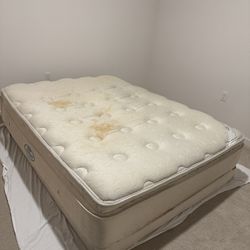 Queen Mattress And Base Board 